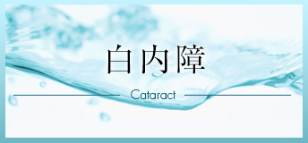 水晶体（眼の中のレンズ）が濁る病気で点眼治療を要しますが、視力が低下してきた場合は手術が必要です。